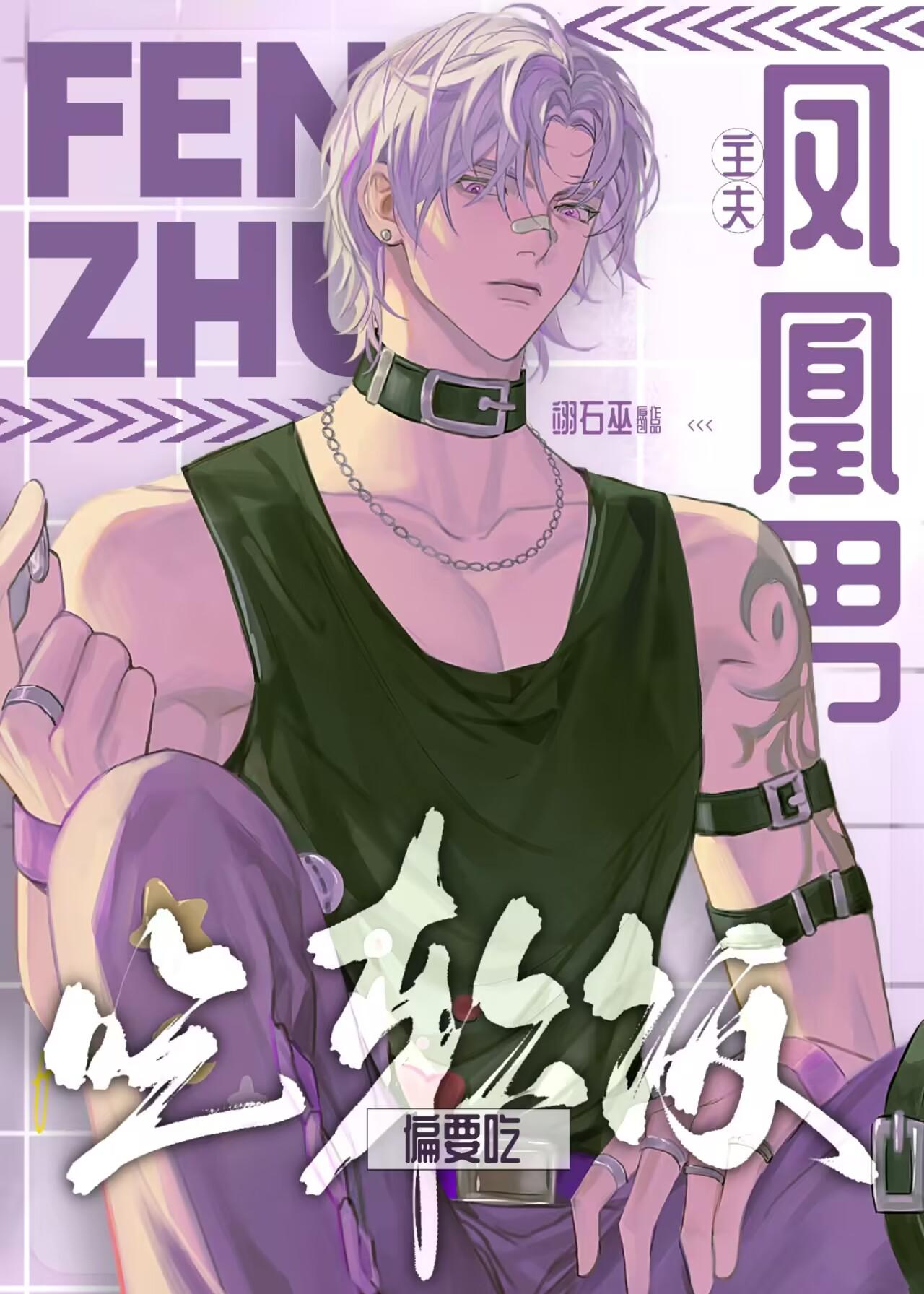 凤凰男主