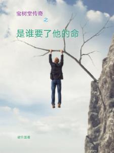 宝树堂红木家具旗舰店怎么样
