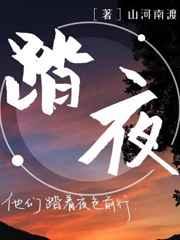 踏夜寻宁同人