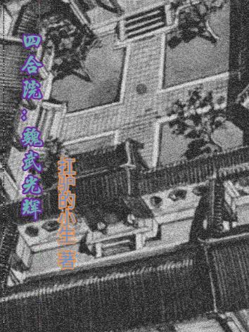 四合院之魏武光辉全文