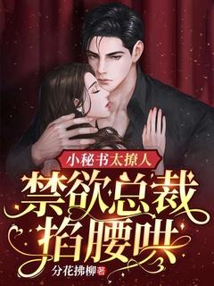 禁欲总裁要抱抱免费阅读