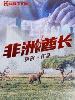 非洲酋长参加联合国会议图片