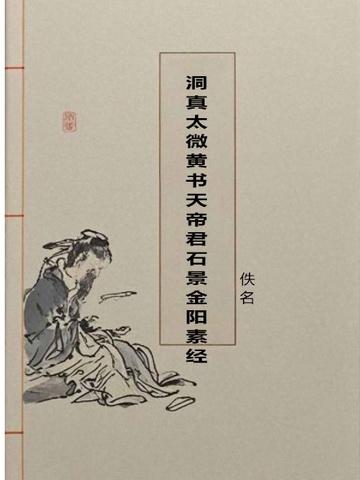 洞真太微黄书九天八箓真文
