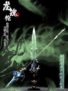 龙魂枪皮