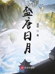 盛唐日月为什么烂尾
