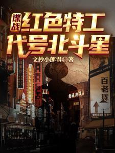 我的卧底兄弟
