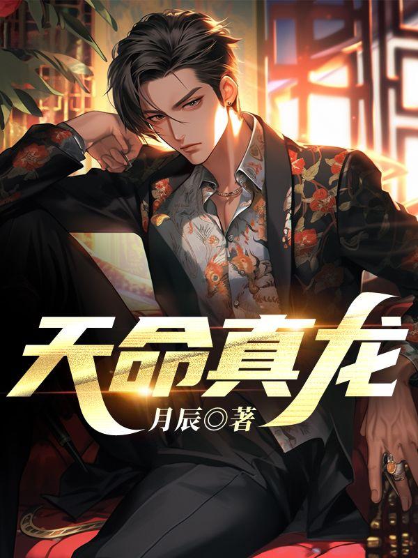 天命真龙电视剧在线看