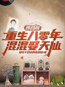 四合院从捡破烂