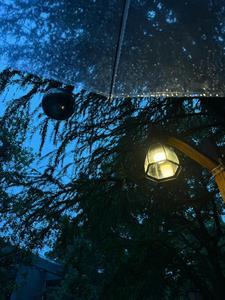 圣诞恐怖故事在线电影