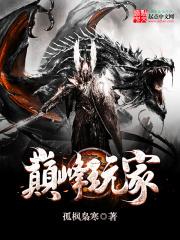 巅峰玩家的地图