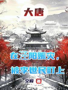 大唐镇国公 天上无上人