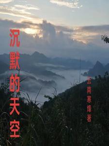 沉默的天空龙max
