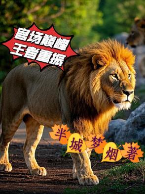 官场巅峰王者重振免费阅读