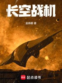 长空战机TXT完本
