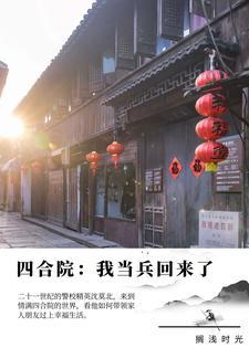 四合院我当兵回来了 作者搁浅时光著