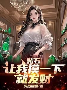 赌石 现场