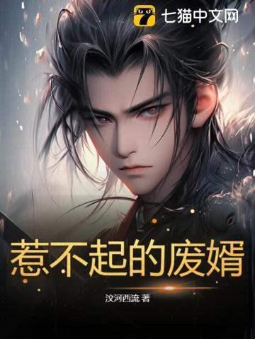 惹不起的废婿是说什么 惹不起的废婿是说什么