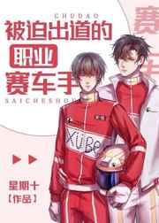 被迫出道的职业赛车手by