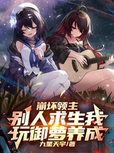 领域崩坏配装