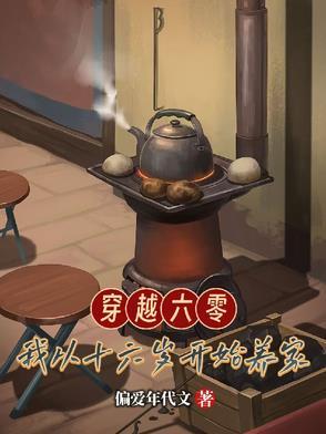 穿越六零我从十六岁开始养家全文