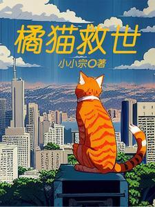 up主橘猫