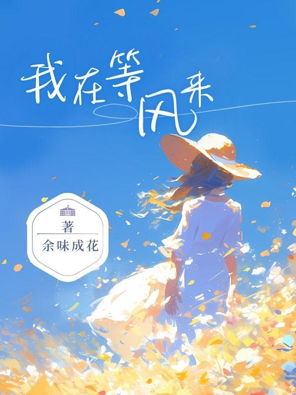 我在等风来是什么歌