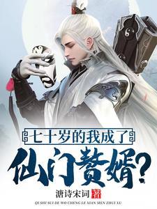 主角叫叶安
