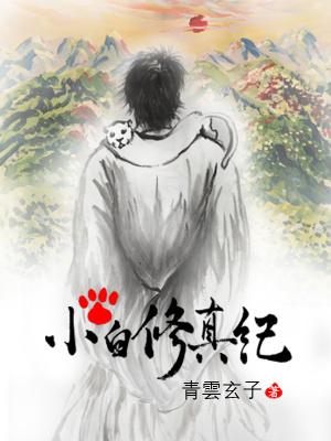 小白修仙文