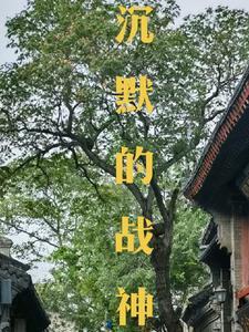 沉默的魔术师
