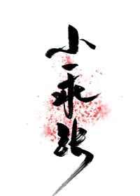 小乖张 沈照百度
