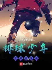 排球少年之黑羽传说免费阅读在线观看