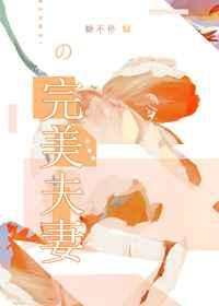 完美夫妻韩剧免费观看