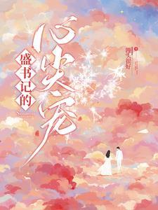 安姩盛怀安盛书记的心尖宠