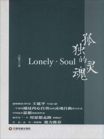 孤独的灵魂无处安放下一句