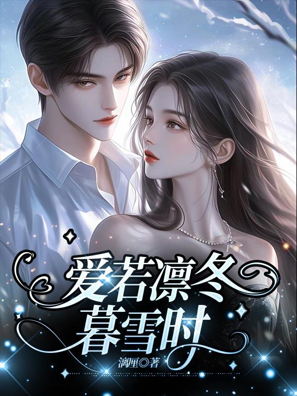 爱若凛冬暮雪时20