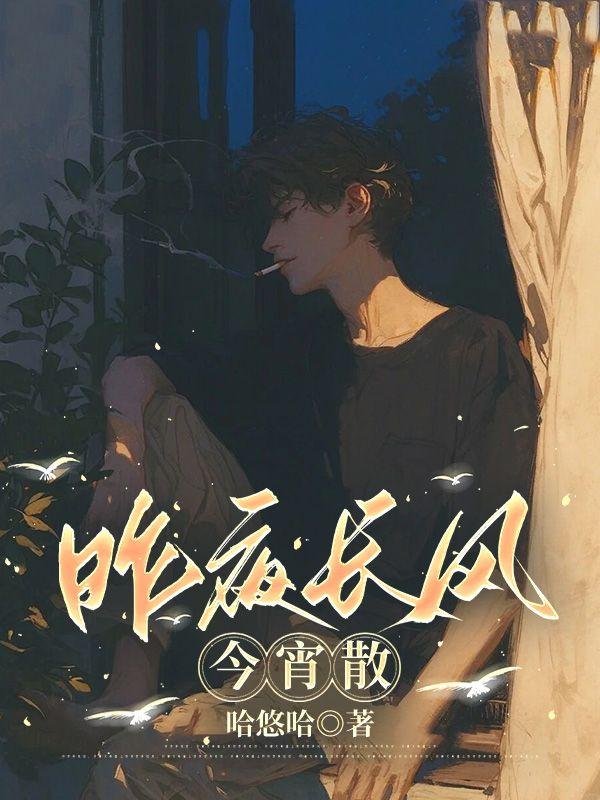 昨夜长风今宵散电视剧