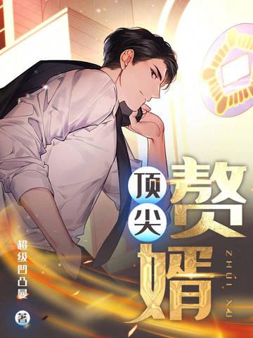 顶级嫯婿