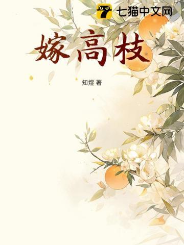 娇娇嫁高枝
