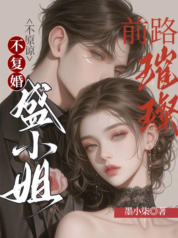 不原谅不复婚盛小姐前路璀璨简介