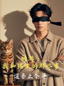 我与猫游戏
