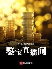 鉴宝直播间txt