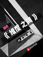 维度之间公司