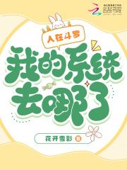 我的系统去哪了?