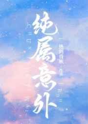 纯属意外广播剧
