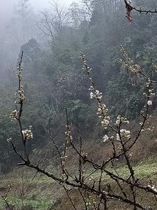 青春是选择