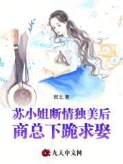 苏小姐的婚事