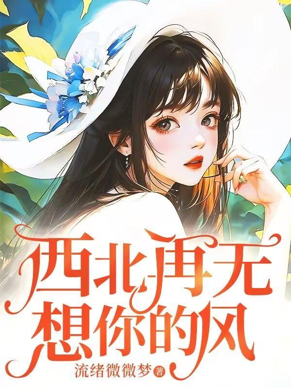 歌词西北风