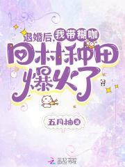 退婚后我带糊咖回村种田爆火了免费