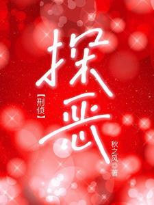 探案的案