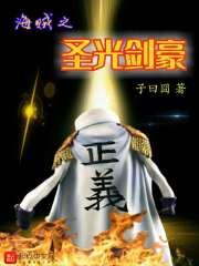 海贼之圣光剑豪txt精校